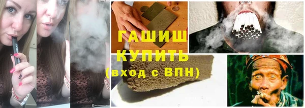 индика Коряжма
