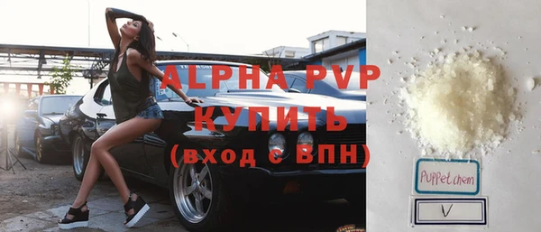 индика Коряжма