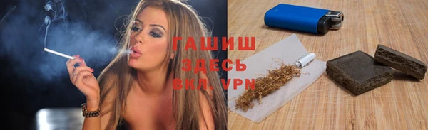 индика Коряжма