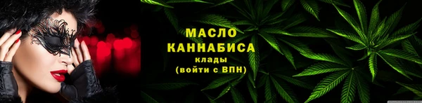 индика Коряжма