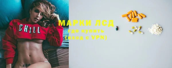 индика Коряжма