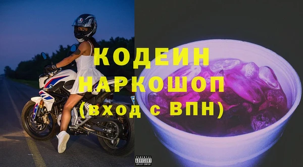 индика Коряжма