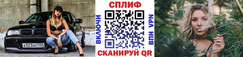 Купить где  Балашов  МАРИХУАНА THC 21% 